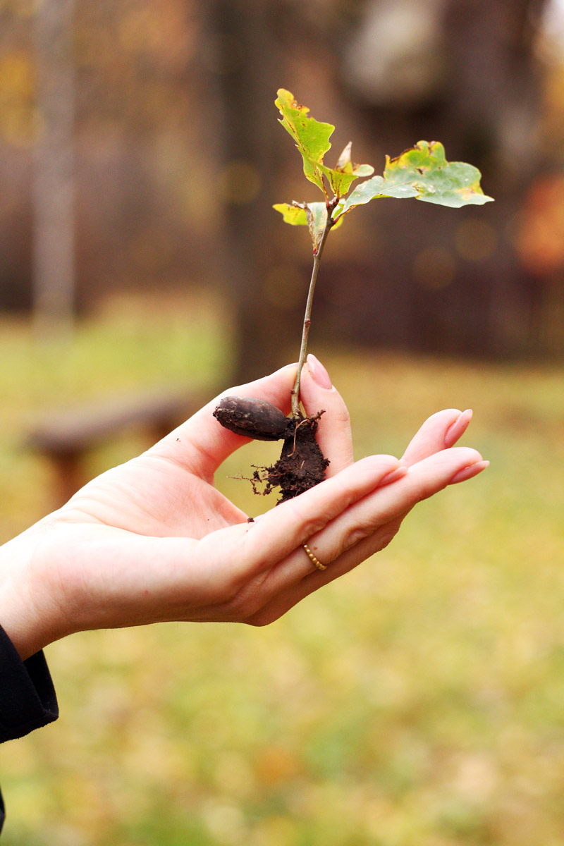 Есе письменниці Світлани Тараторіної про колоніальну спадщину Полтавщини, український модерн, складну ідентичність міста та перевідкриття культурних скарбів.
